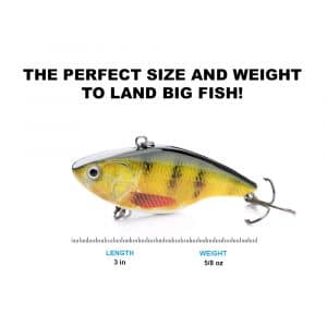 Savage Angler - Swag Vibe™ Lipless Crankbait - Image 5